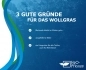 Preview: Wollgras - Eriophorum angustifolium